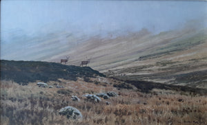 'After the Rut' - Original Oil Painting by Alistair Makinson - 23 x 38cm