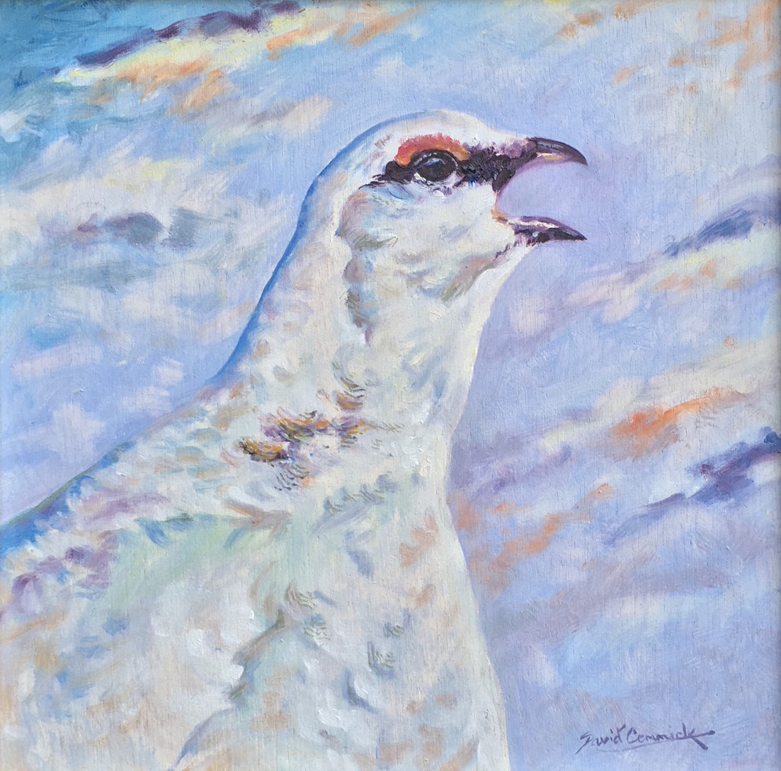 'Ptarmigan’ - Original Oil by David Cemmick - 19 x 19cm