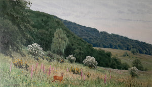 'Lythe Valley Roe' - Original Oil Painting by Alistair Makinson - 24 x 41cm