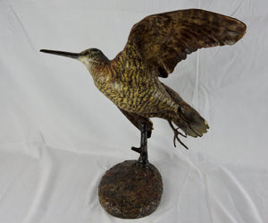 'Flying Woodcock' Bronze Sculpture by Martyn Bednarczuk