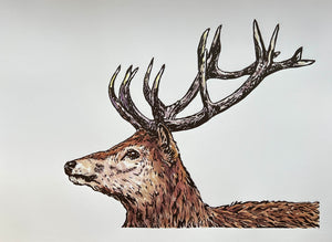 'Royal' - Original Hand Printed, Hand Coloured Linocut by Sarah Cemmick