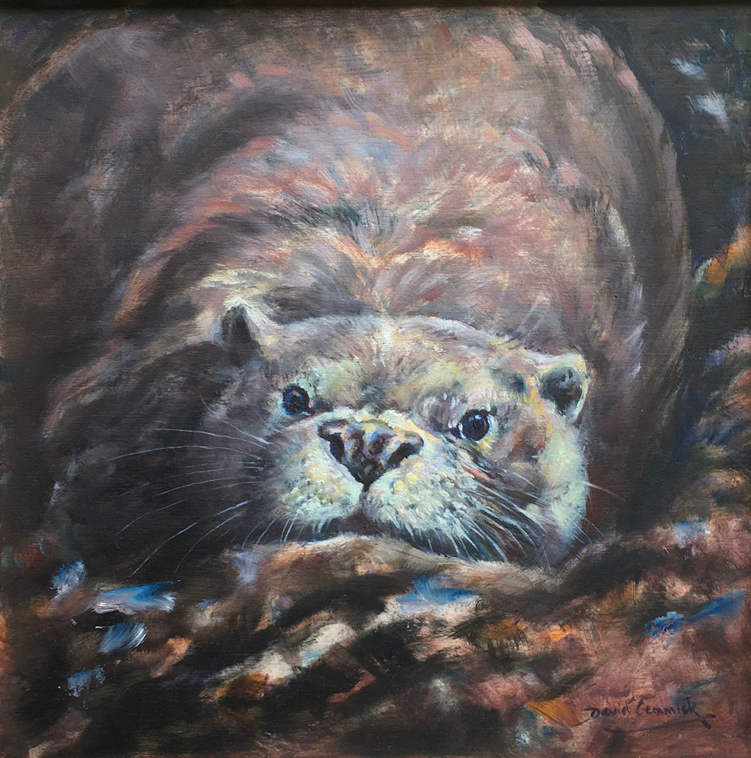 'Otter’ - Original Oil by David Cemmick - 19 x 19cm