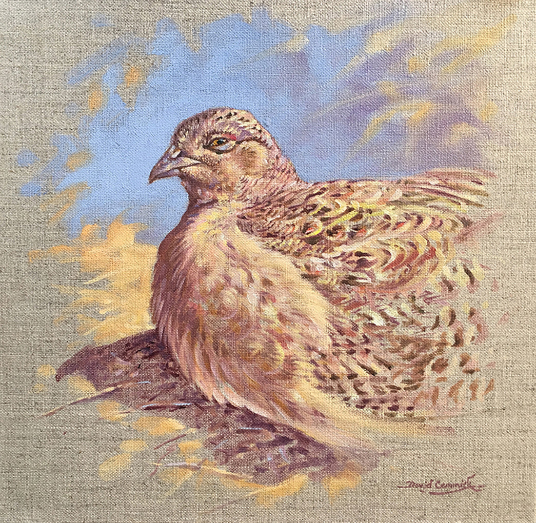 'Hen pheasant sunning’ - Original Oil on Linen by David Cemmick - 40 x 40cm