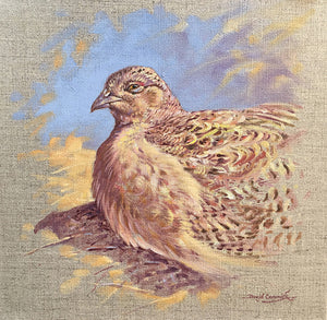 'Hen pheasant sunning’ - Original Oil on Linen by David Cemmick - 40 x 40cm