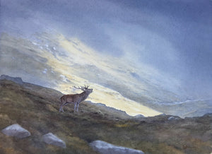 'Roaring in the fog' - Original Watercolour Painting by Owen Williams - 25 x 34cm
