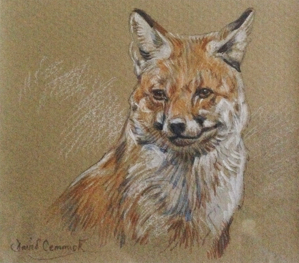 'Fox’ - Original Watercolour by David Cemmick - 8 x 10cm