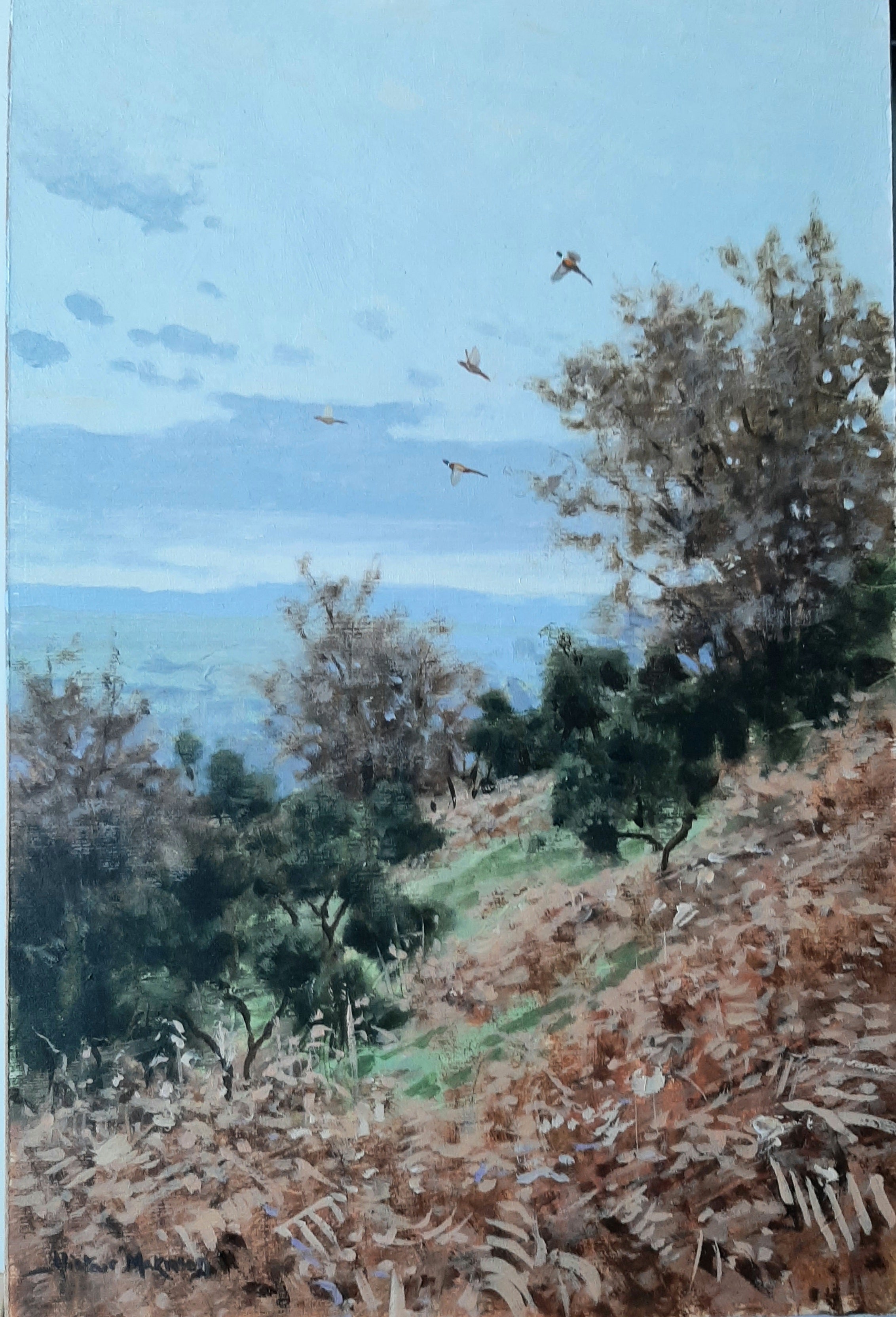 'Rising Pheasants' - Original Oil Painting by Alistair Makinson - 20 x 30cm