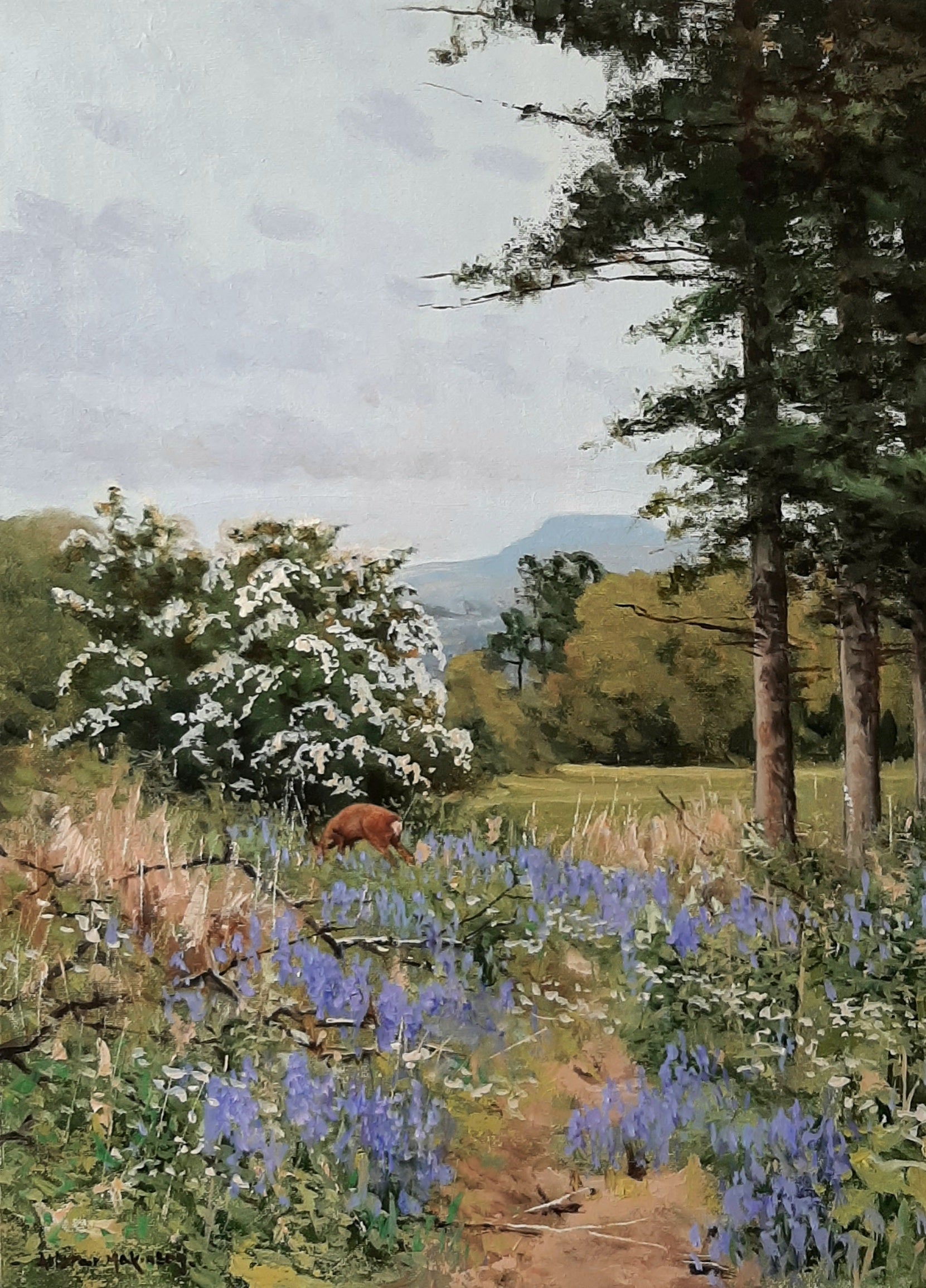 'Browsing Roe' - Original Oil Painting by Alistair Makinson - 30 x 40cm