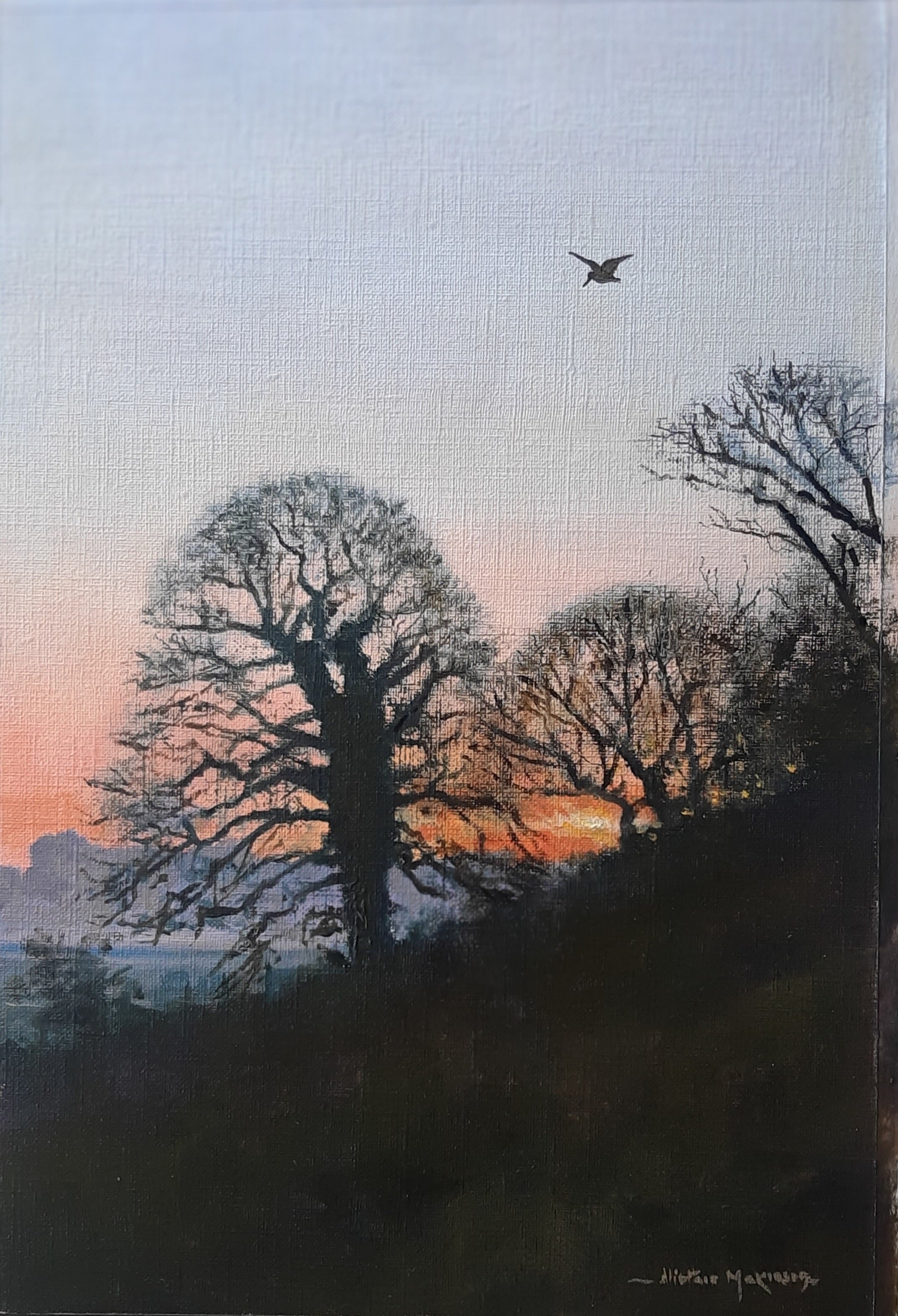 'Woodcock at Sunset' - Original Oil Painting by Alistair Makinson - 20 x 30cm