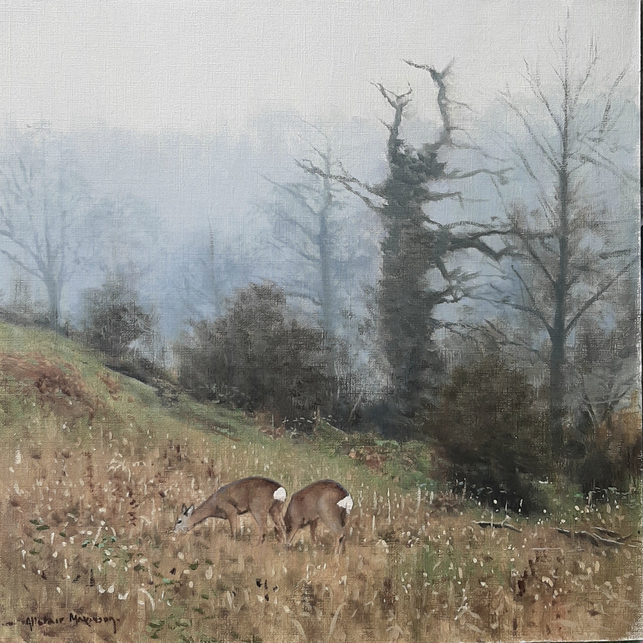 'Winter Roe' - Original Oil Painting by Alistair Makinson - 30 x 30cm