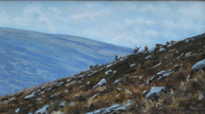 'Stags on the edge' - Original Oil Painting by Alistair Makinson - 15 x 26cm