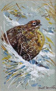 'Grouse in the snow’ - Original Watercolour by David Cemmick - 13 x 8cm