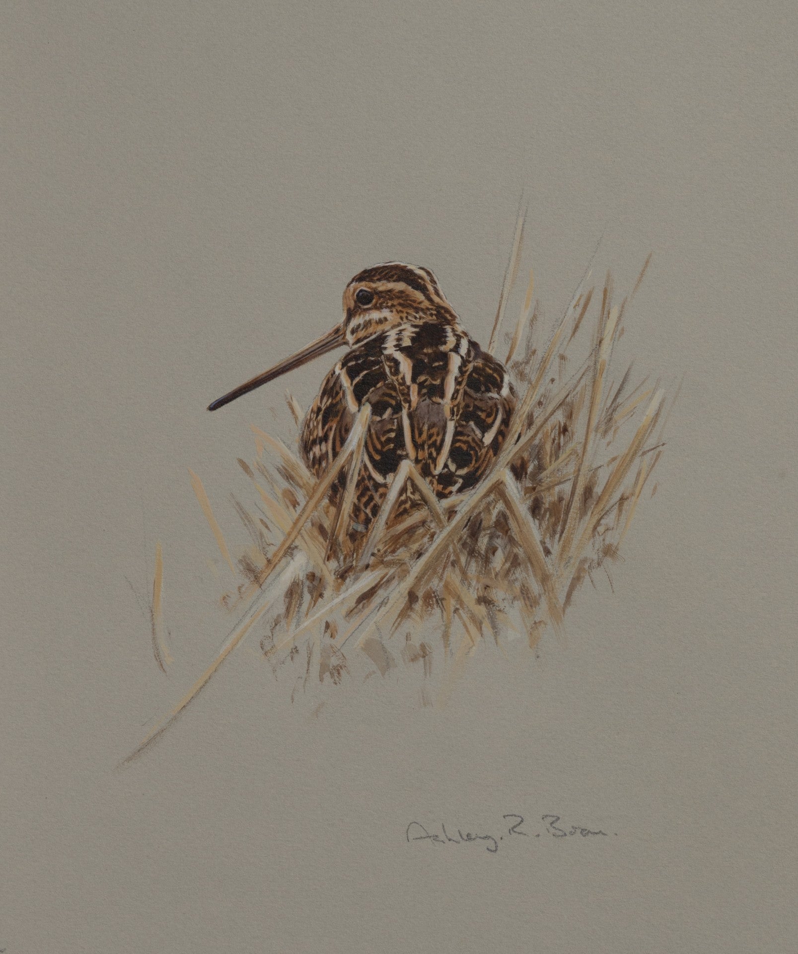 'Snipe in Reeds' Original watercolour by Ashley Boon - 9.5" x 8.25"