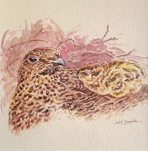 'Greyhen and chick’ - Original Watercolour by David Cemmick - 20 x 20cm