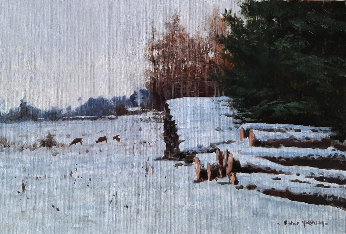 'Winter Roe' - Original Oil Painting by Alistair Makinson - 27 x 18cm