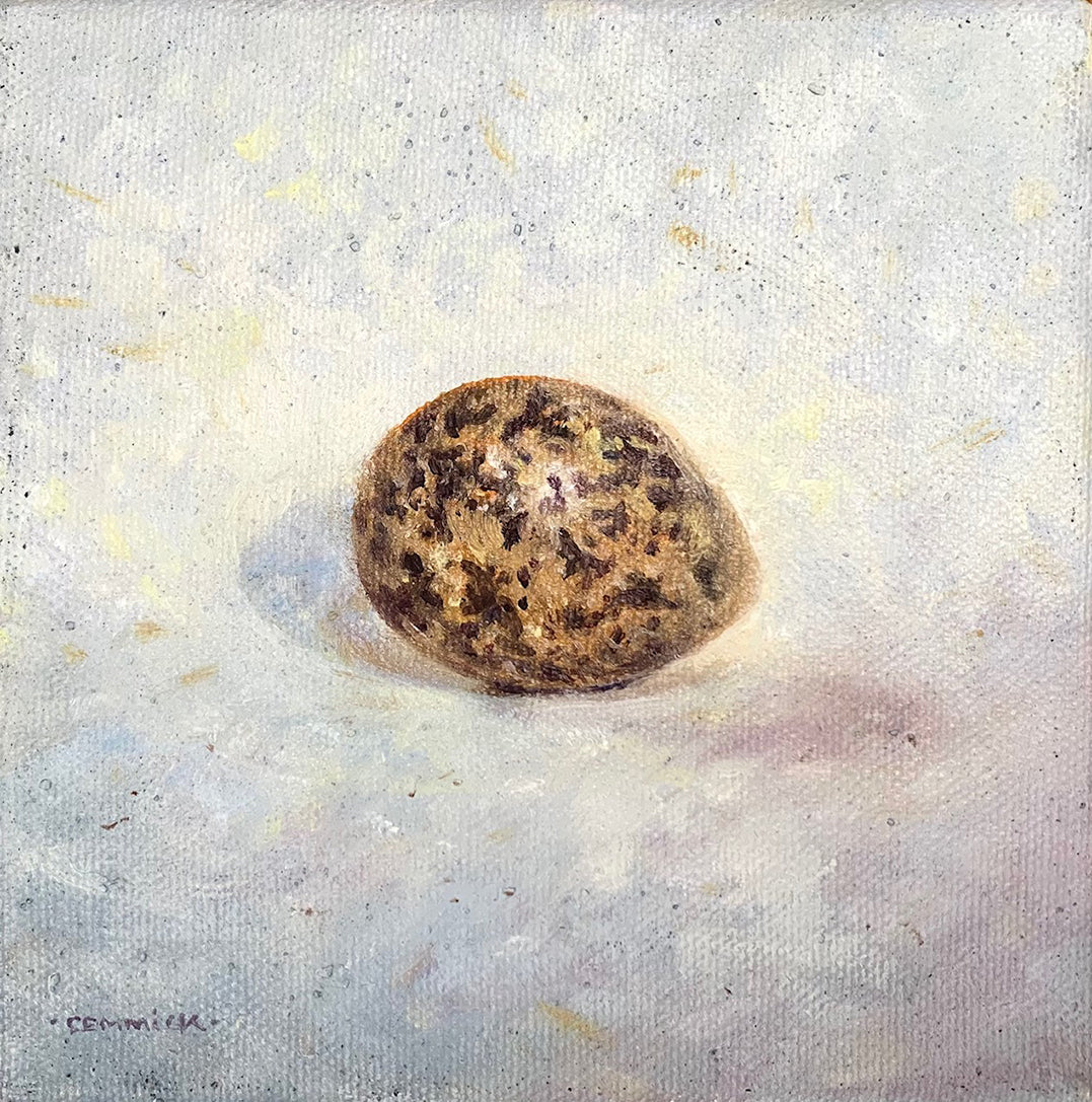 'The Plovers Egg’s’ - Original Oil on Canvas by David Cemmick - 13 x 13cm