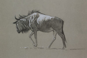 029. 'Blue Wildebeest' Limited Edition Print (100 only) by Ashley Boon - 7.5" x 11"
