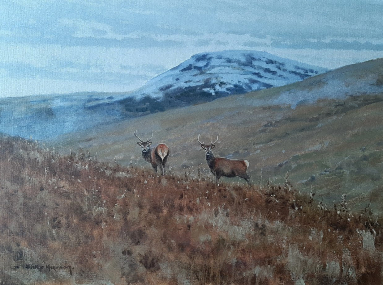 'Winter Stags' - Original Oil Painting by Alistair Makinson - 30 x 40cm