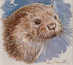 'Otter’ - Original Watercolour by David Cemmick - 8 x 10cm