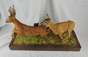 'Running Roe Deer Buck & Doe' Wooden Sculpture by Martyn Bednarczuk