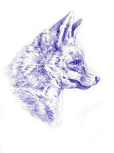 'Fox Head Study’ - Original Ink Drawing by David Cemmick - 35 x 25cm