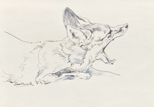 'Good Morning Mr Fox’ - Original Ink Drawing by David Cemmick - 20 x 27cm