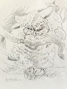 'Baby Tawny’ - Original Pencil Drawing by David Cemmick - 26 x 22cm