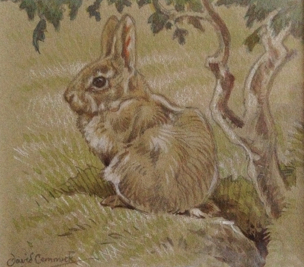 'Baby Bunny’ - Original Watercolour by David Cemmick - 8 x 10cm