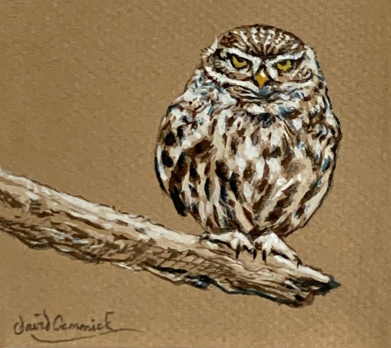 'Cross Little Owl’ - Original Watercolour by David Cemmick - 8 x 10cm