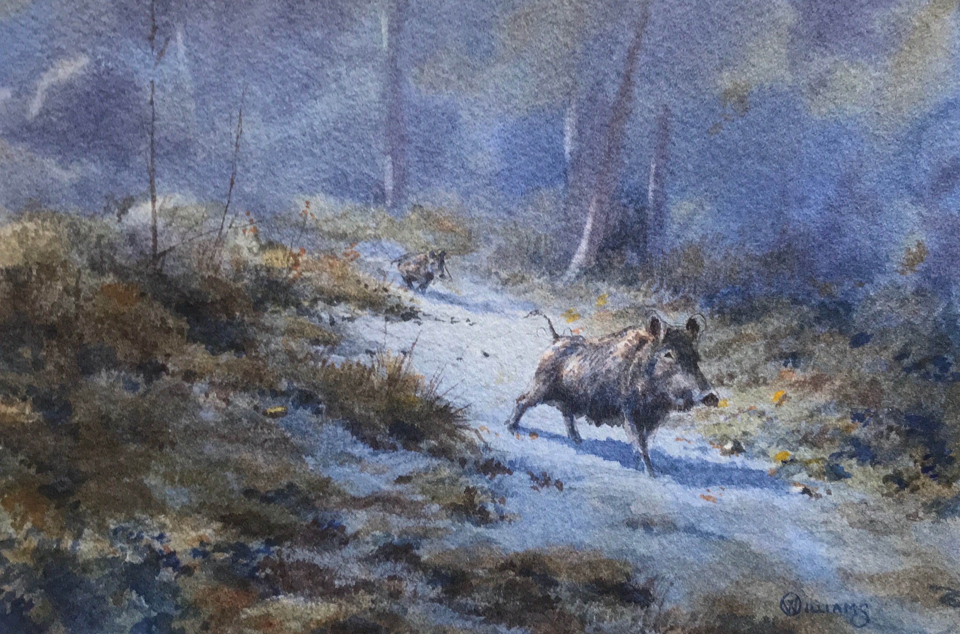 'Running Boar' - Original Watercolour Painting by Owen Williams - 13 x 20cm