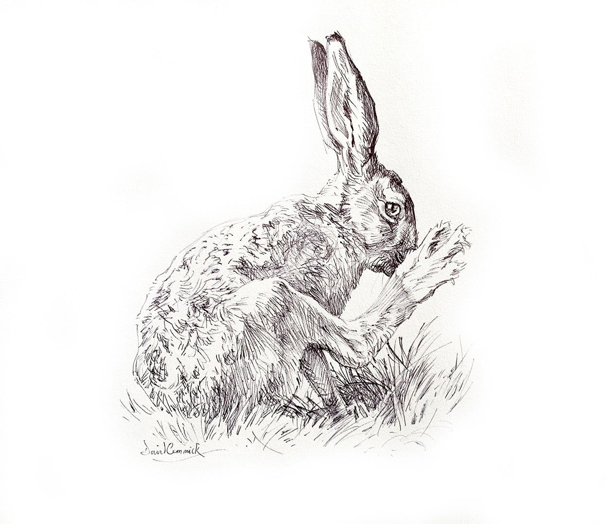 'Hare Washing’ - Original Ink Drawing by David Cemmick - 30 x 35cm