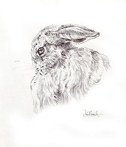 'Hare Grooming’ - Original Ink Drawing by David Cemmick - 30 x 35cm