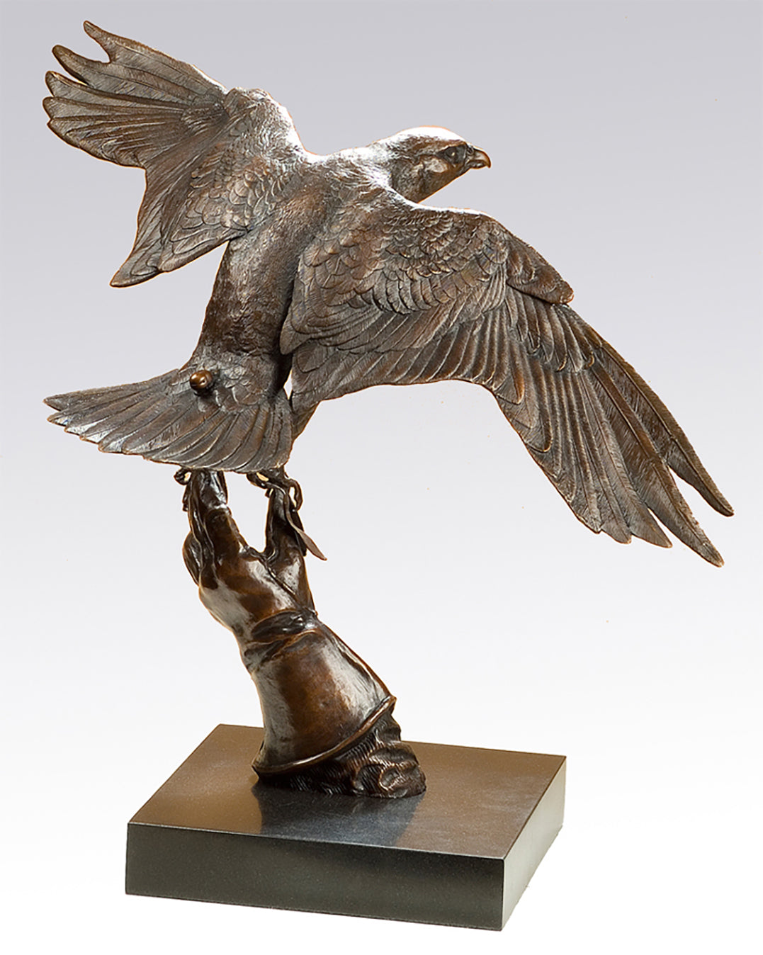 'Peregrine Falcon' - Bronze Limited Edition Sculpture by David Cemmick.