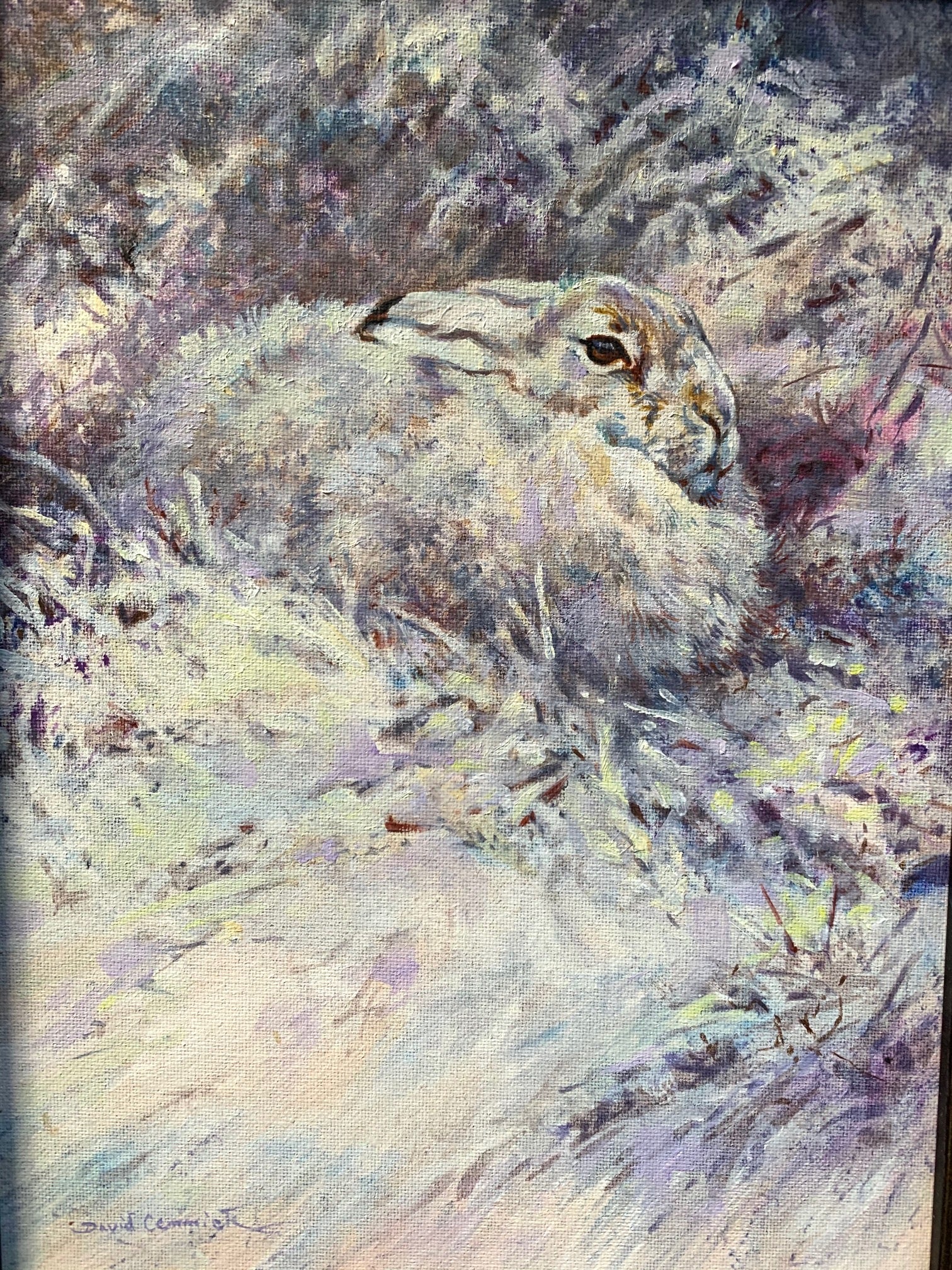 'Mountain Hare’ - Original Oil by David Cemmick - 8 x 10cm