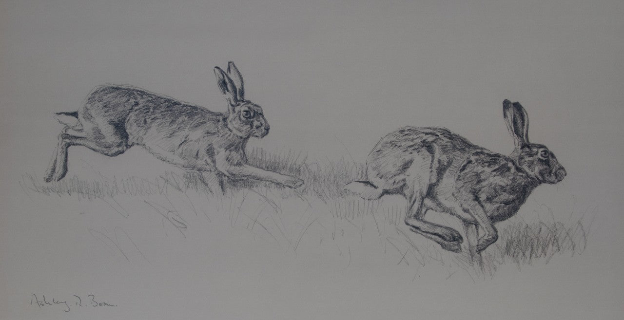 009. 'Chasing Hares' Limited Edition Print (100 only) by Ashley Boon - 14" x 26.75"