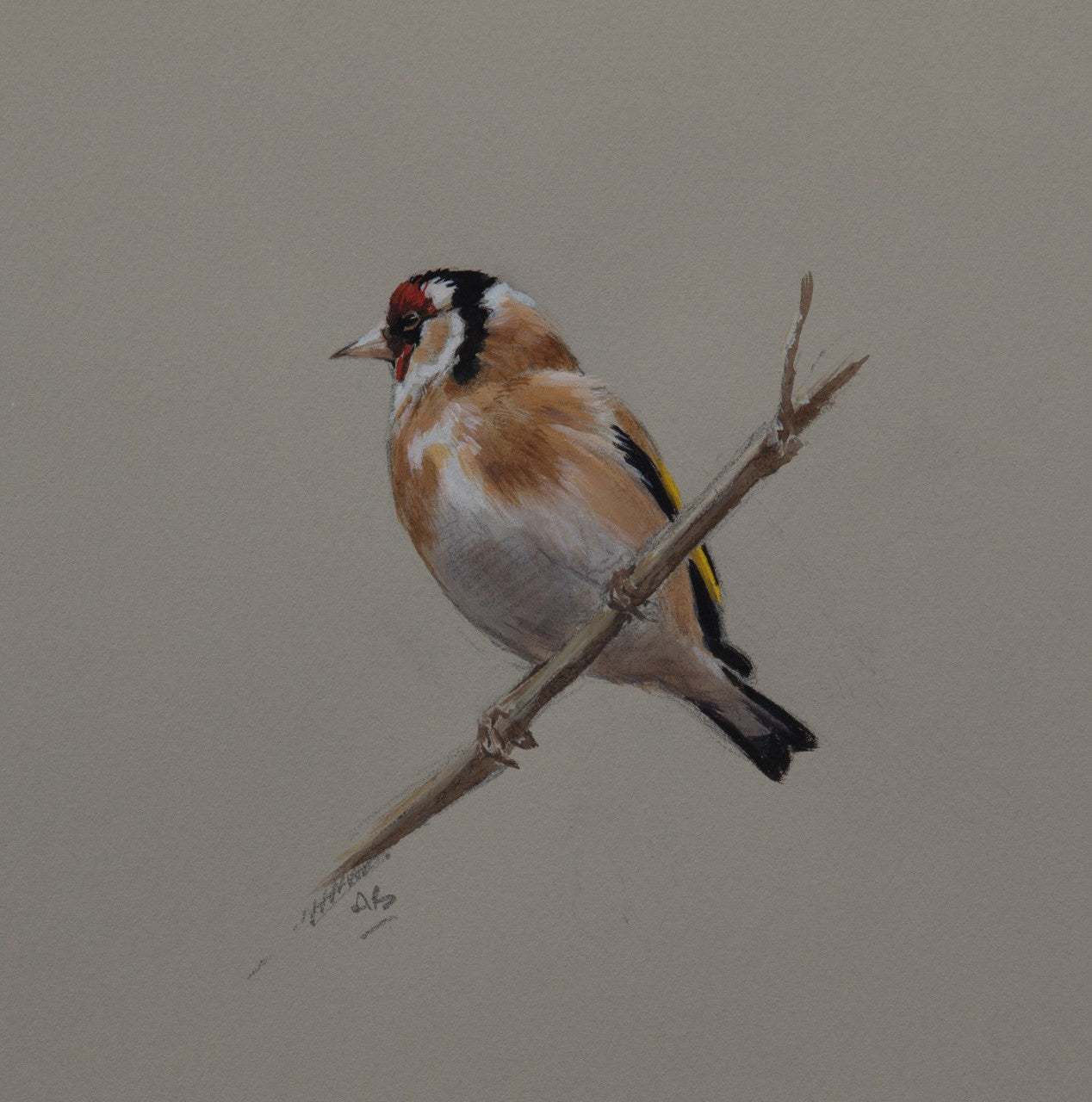 'Goldfinch Sketch' - by Ashley Boon - 7.25 x 6.25"