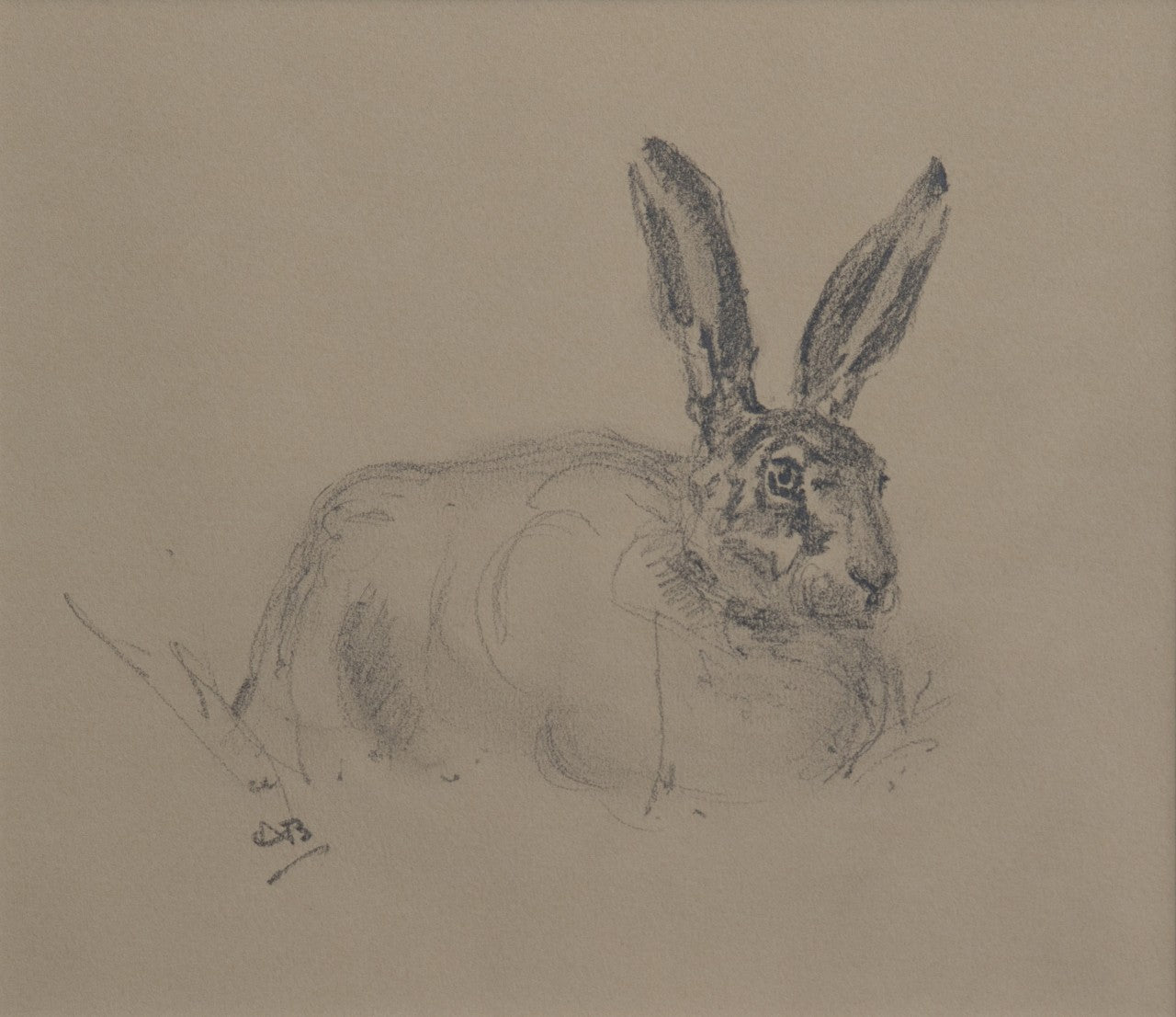 'Brown Hare Sketch I' - Original Pencil Drawing by Ashley Boon - 7.5" x 8.5"