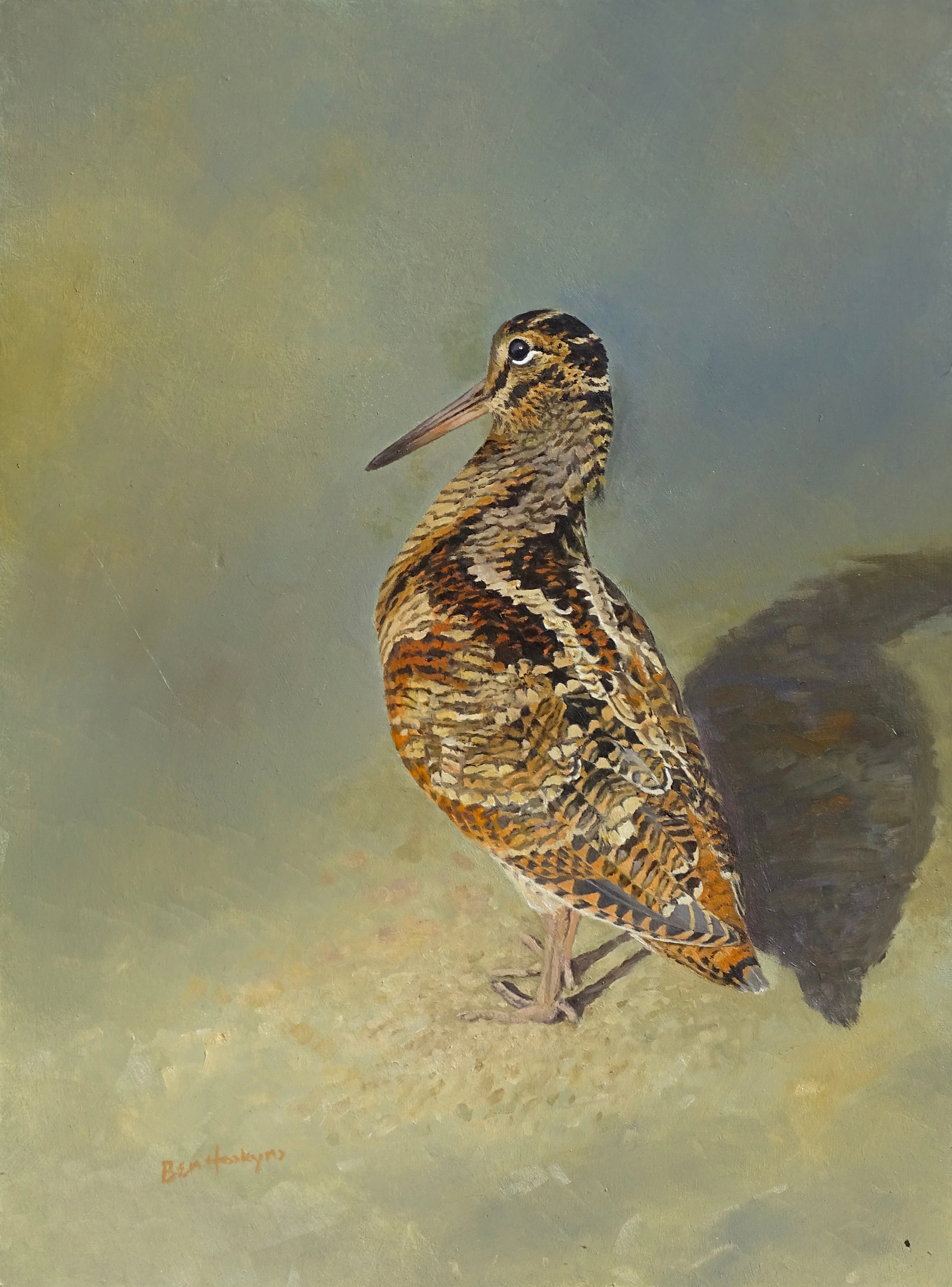 'Woodcock' - Original Oil Painting by Ben Hoskyns