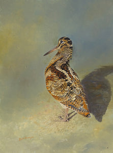 'Woodcock' - Original Oil Painting by Ben Hoskyns