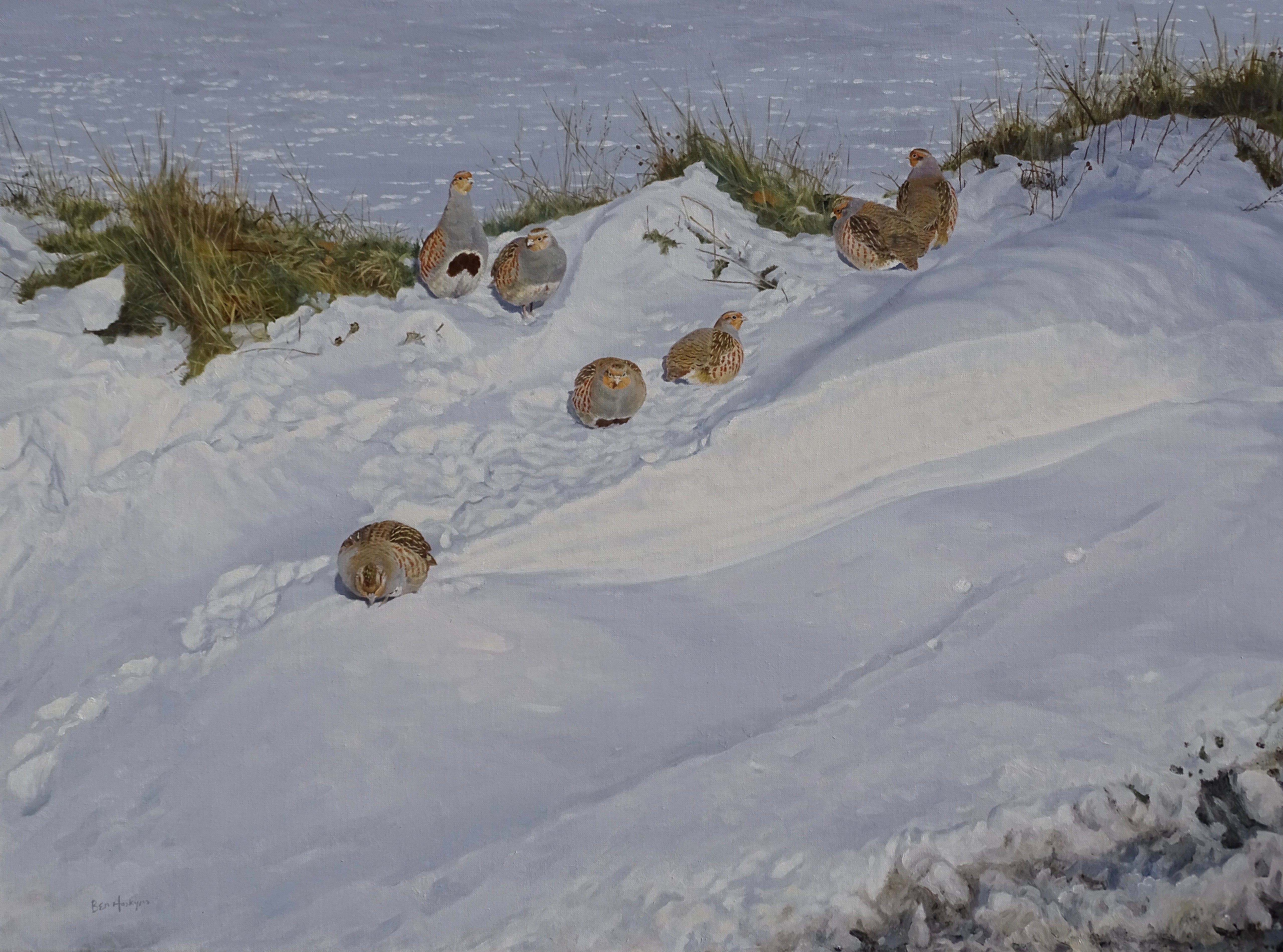 'Snow Drift Partridges' - Original Oil Painting by Ben Hoskyns