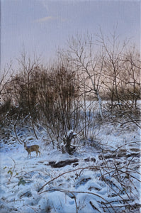 'Winter Roe Doe' - Original Oil Painting by Ben Hoskyns