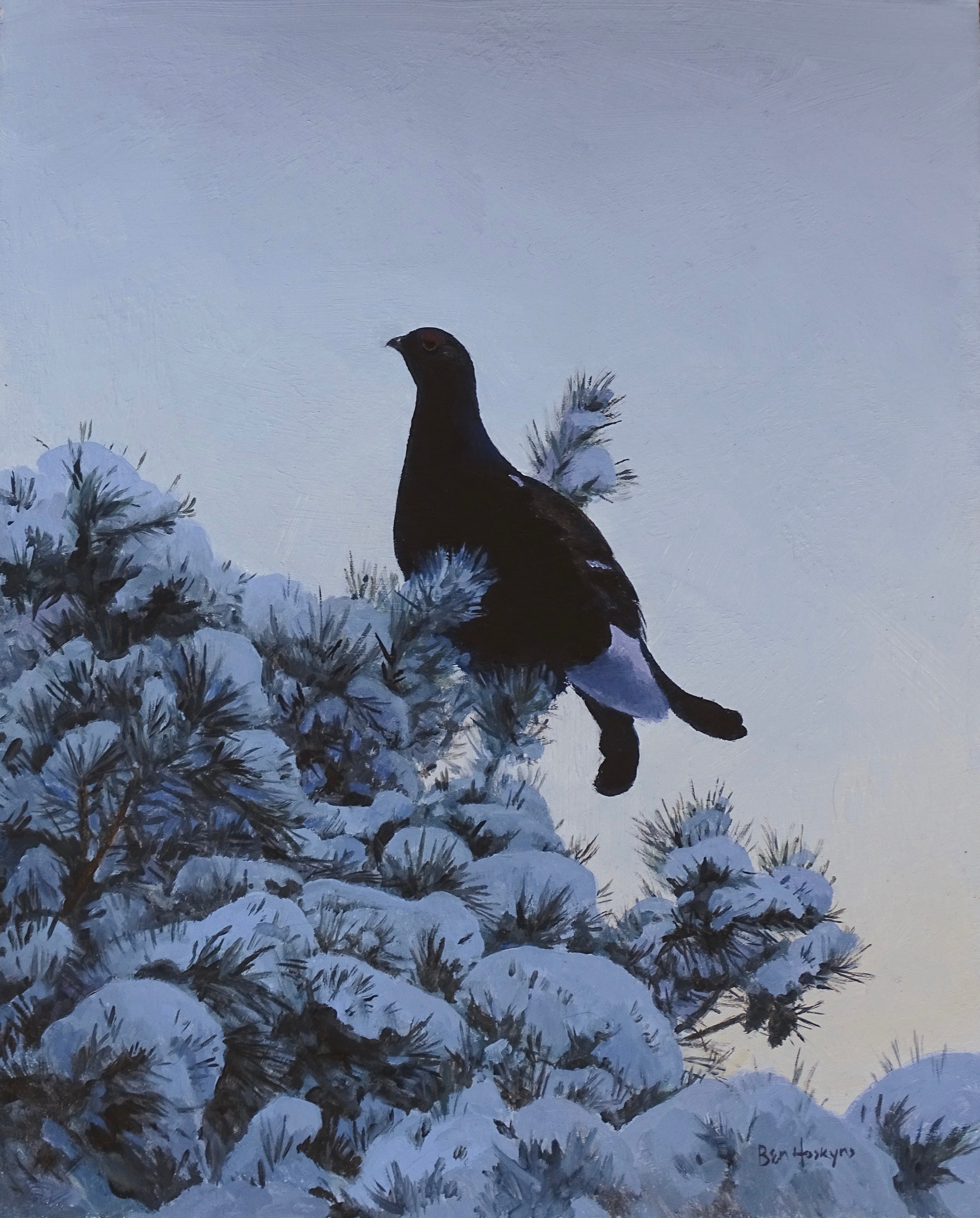 'Winter Blackcock' - Original Oil Painting by Ben Hoskyns