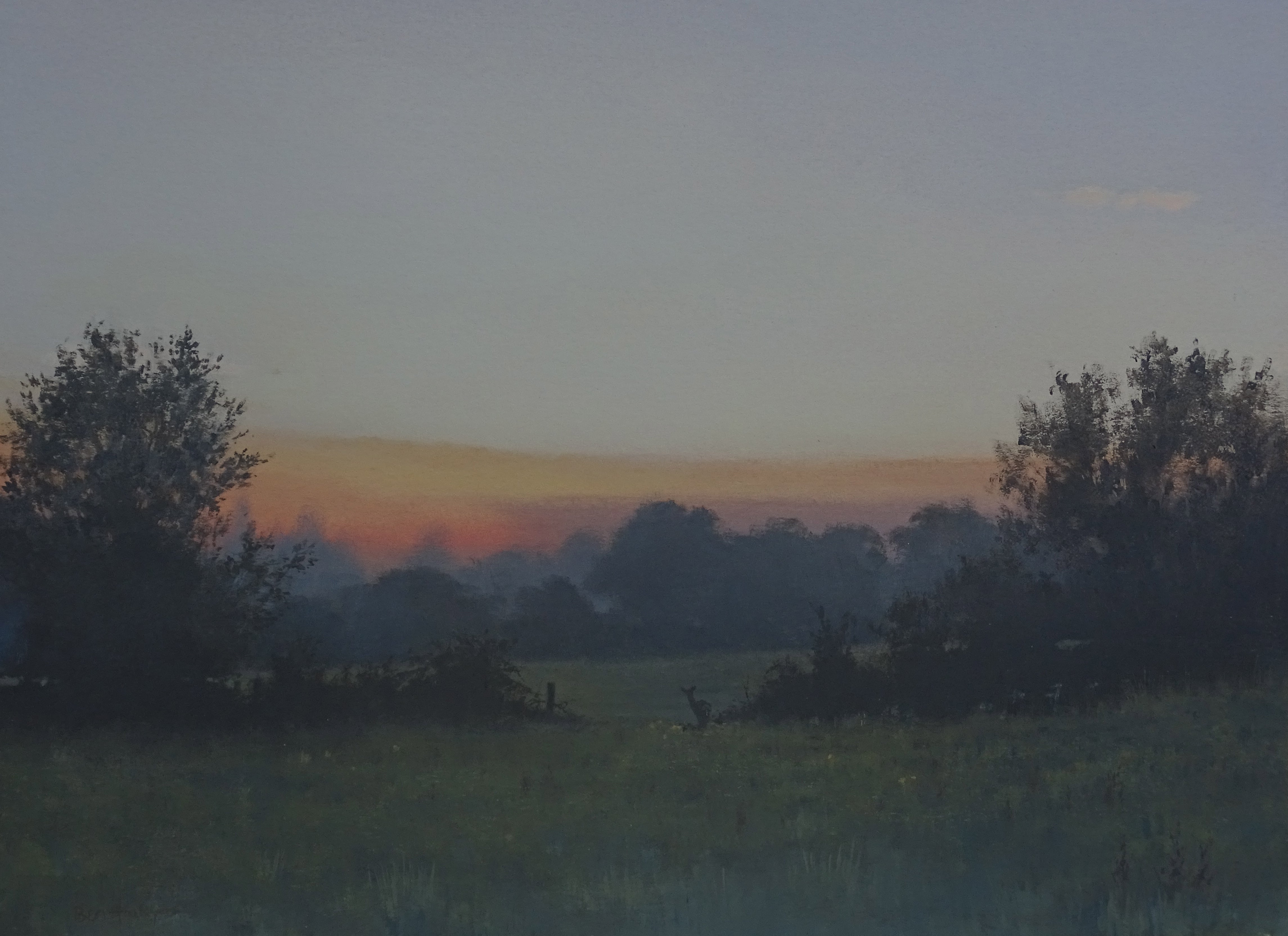 'Roe at Dusk' - Original Oil Painting by Ben Hoskyns