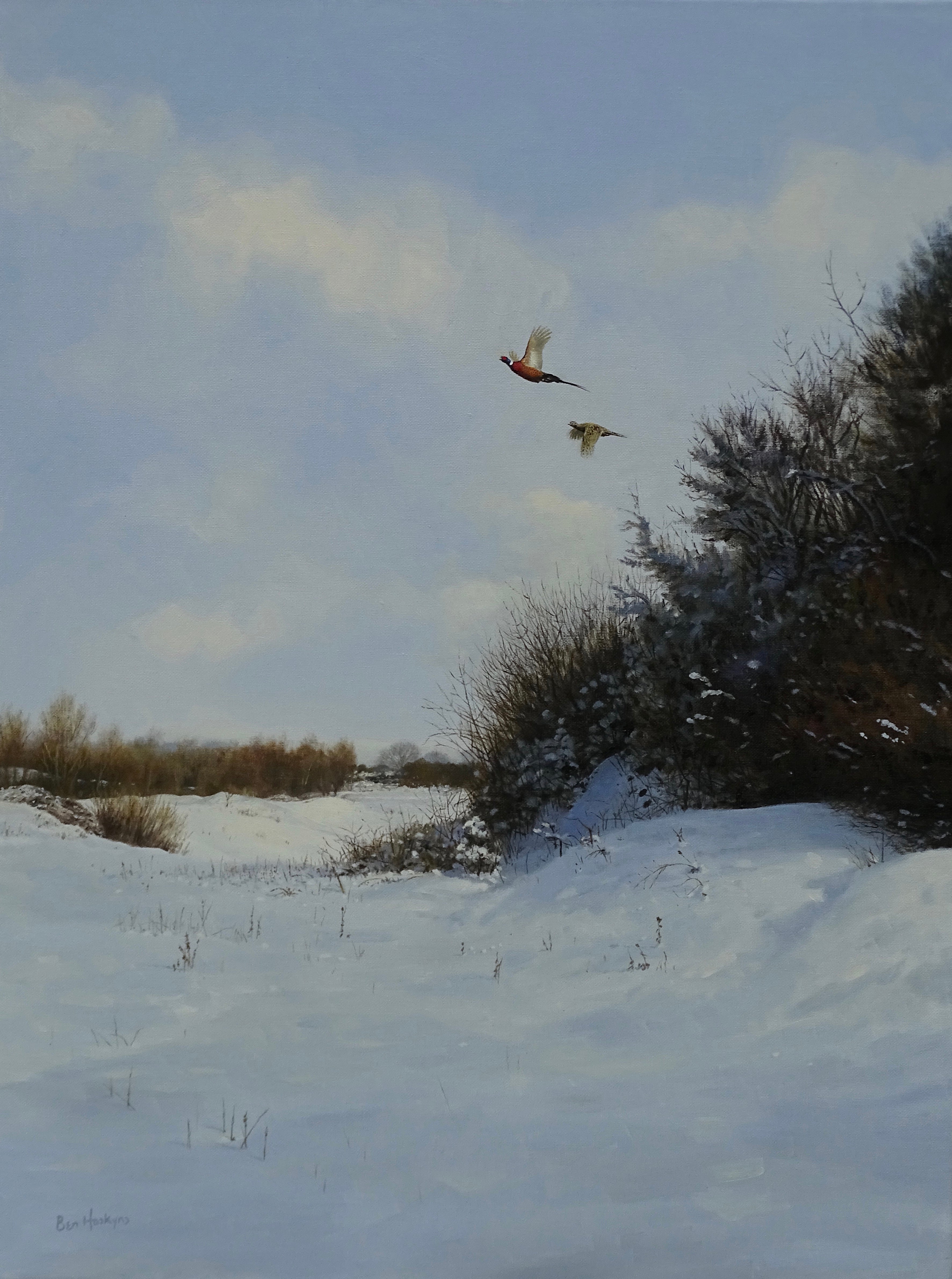 'Pheasants from the Wood' - Original Oil Painting by Ben Hoskyns