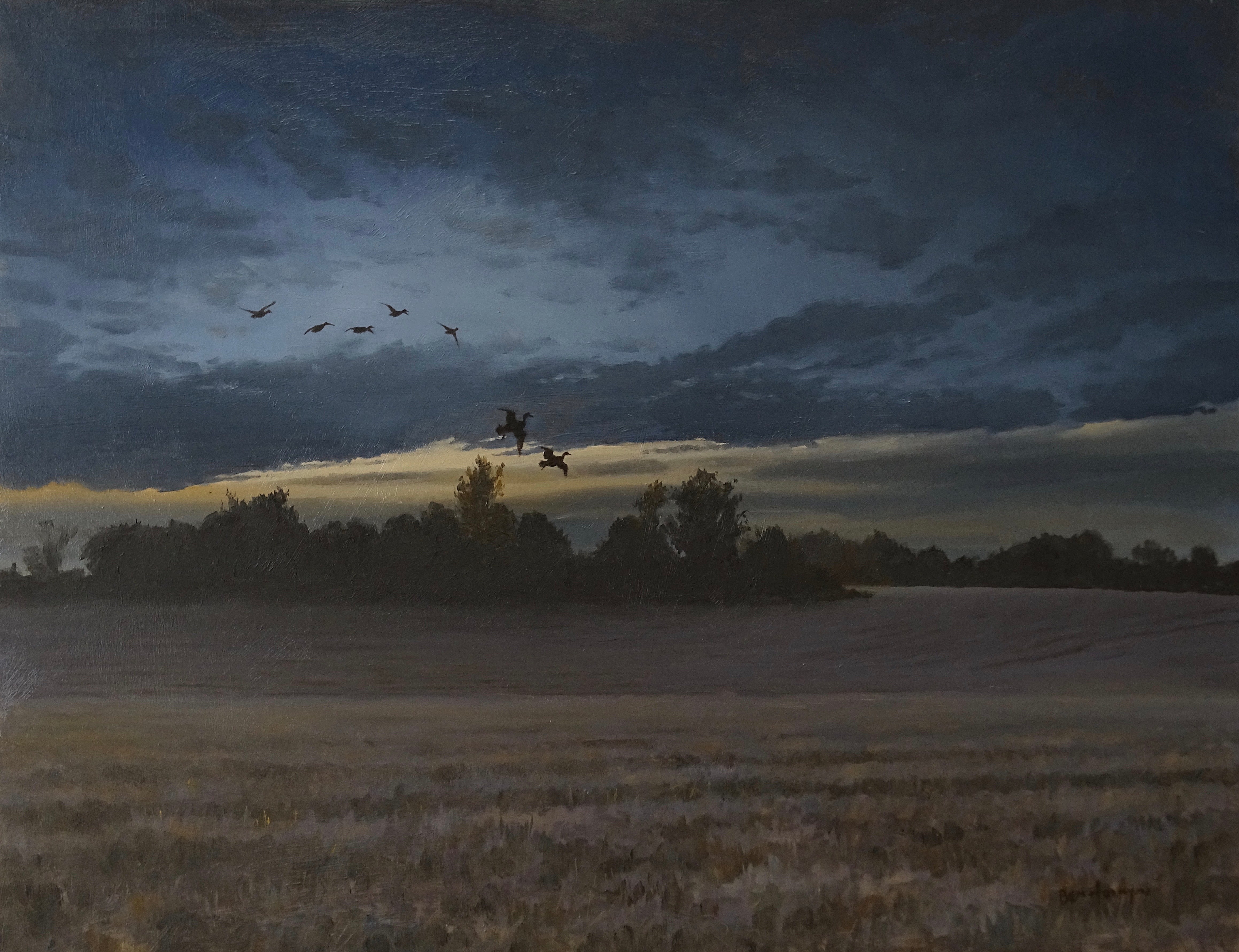 'Stubble Flighting Mallard' - Original Oil Painting by Ben Hoskyns