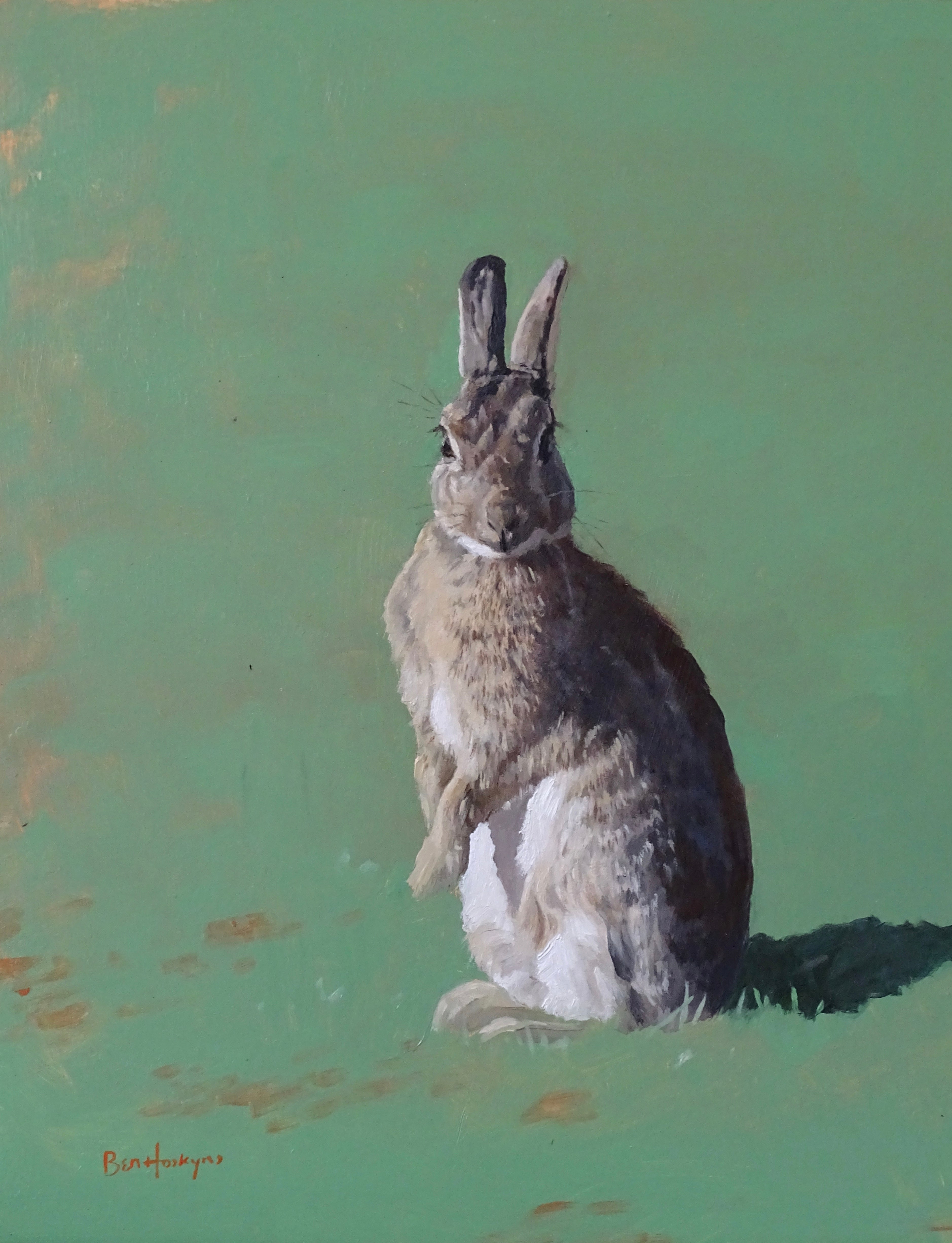 'Rabbit' - Original Oil Painting by Ben Hoskyns