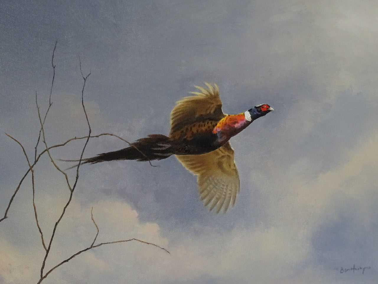 'Flying Pheasant' - Original Oil Painting by Ben Hoskyns
