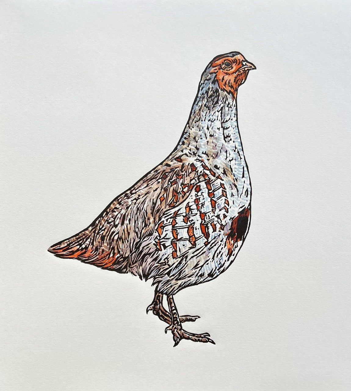 'Grey Partridge' - Original Hand Printed, Hand Coloured Linocut by Sarah Cemmick