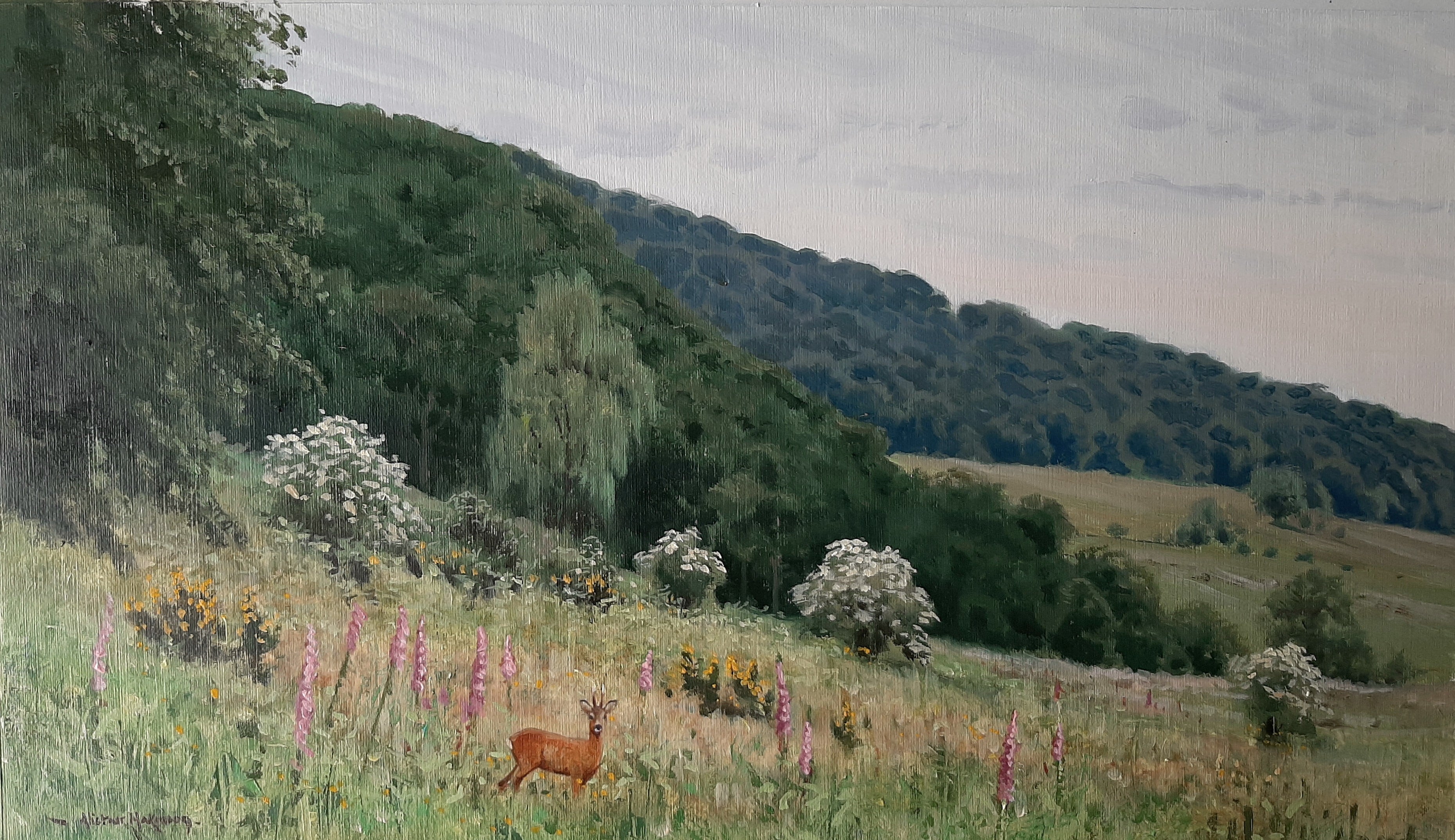 'Lythe Valley Roe' - Original Oil Painting by Alistair Makinson - 24 x 41cm