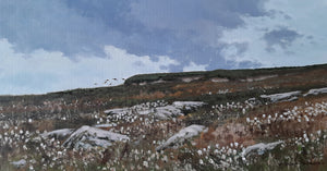 'Cotton Grass Grouse' - Original Oil Painting by Alistair Makinson - 20 x 40cm